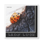 Lady Luck Magnet