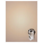 Lady Meerkat  letterhead_vertical.