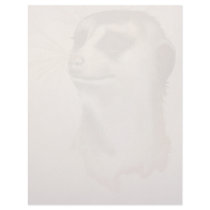 Lady Meerkat letterhead_vertical.