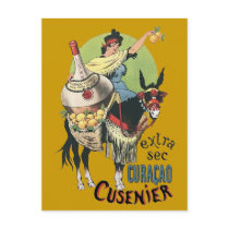 Lady on Donkey postcards