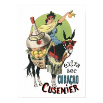Lady on Donkey posters