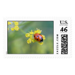 lady on top postage stamp