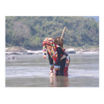 Lady Padaung postcards