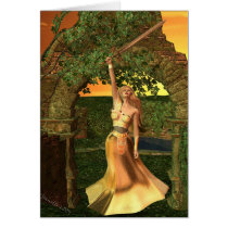 Lady Paladin Cards