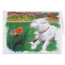 lady poses cards