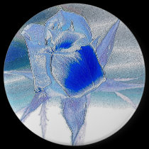 Lady Rose #2 Button buttons