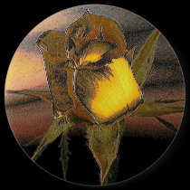 Lady Rose #3 Button