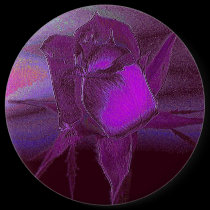 Lady Rose #6 Button