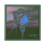 Lady Rose #7 Magnet