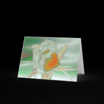 Lady Rose #8 Greeting Card cards