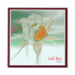 Lady Rose #8 Magnet