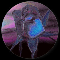 Lady Rose #9 Button buttons