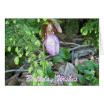 Lady Slipper 2 Card
