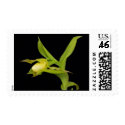 Lady slipper orchid - Custom Postage postage