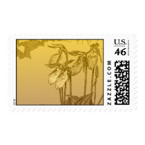 Lady slipper orchids postage