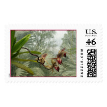 Lady Slipper postage by conchens Lady Slipper postage