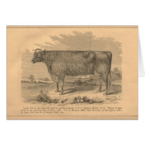 Lady Susan, First Prize Cow at Utica, 1863 Cards