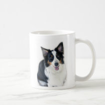 Lady the Australian Shepherd Mug mugs