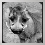 Lady Warthog Print