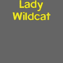 Lady Wildcat jacket embroidered shirts