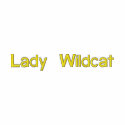 Lady Wildcat zippered sweatshirt embroidered shirts by hcove06 Lady Wildcat zippered sweatshirt embroidered shirts