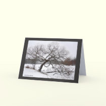 Lady Willow's Winter cards by MoiraAshleigh Lady Willow's Winter cards