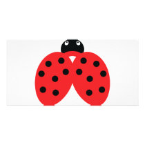 ladybeetle icon photo cards