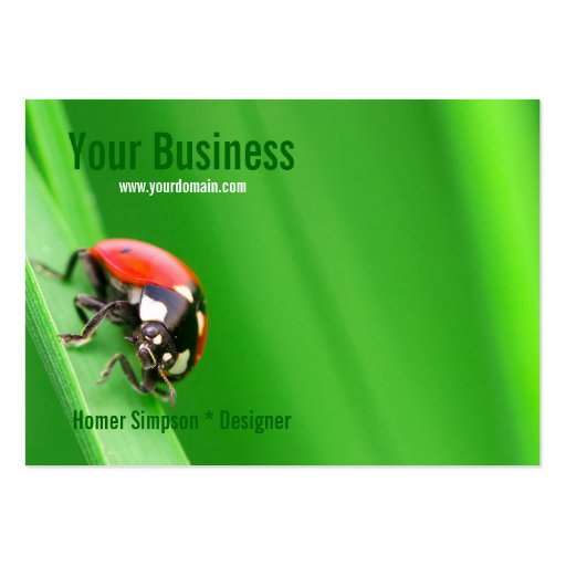 Ladybird Business Card Template (front side)