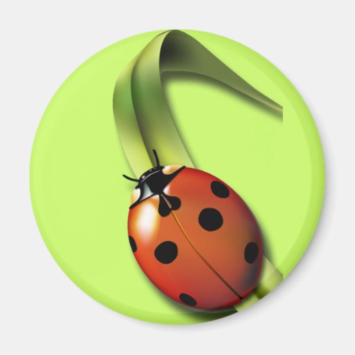 Ladybird Fridge Magnets
