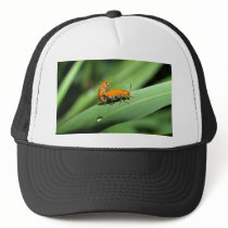 ladybird hats by naturelife ladybird hats