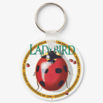 Ladybird Keychain by calzonsin Ladybird Keychain