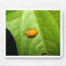 ladybird mouse mats