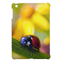 Ladybird on Ragwort flowers iPad mini case ipad mini cases