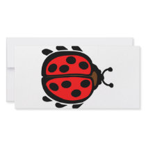 Ladybird Photo Card