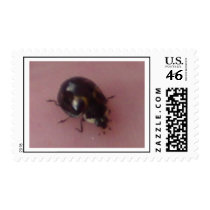 Ladybird postage