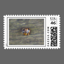 Ladybird stamps