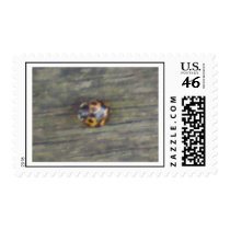 Ladybird postage
