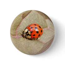 Ladybug 226 ~ button by Andy2302 Ladybug 226 ~ button