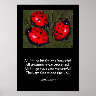 LADYBUG ALL THINGS BRIGHT POSTER