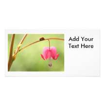 Ladybug and Bleeding Heart Flower Photo Card