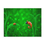 Ladybug and Chameleon Post Card