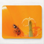 Ladybug and Poppy Mousepad