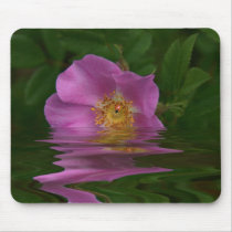 Ladybug and Rose mousepads by lucindawind Ladybug and Rose mousepads