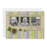 Ladybug and stripes  Photo Gift Greeting Personalized Invites