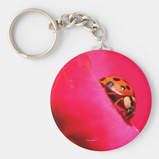 Ladybug and the Rose Keychain