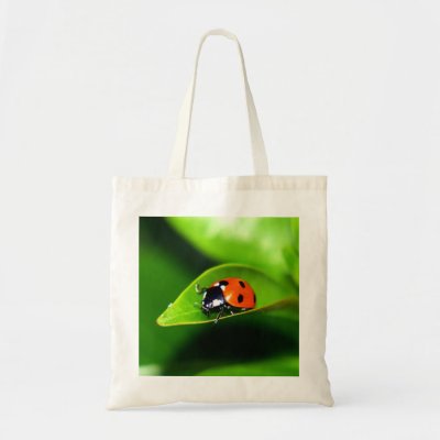 Ladybug bags