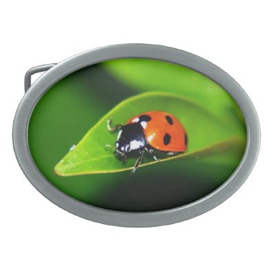 Ladybug Belt Buckle