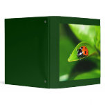 Ladybug binders