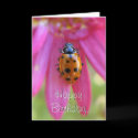 Ladybug Birthday Card