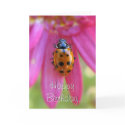 Ladybug Birthday Card by ladybugland Ladybug Birthday Card